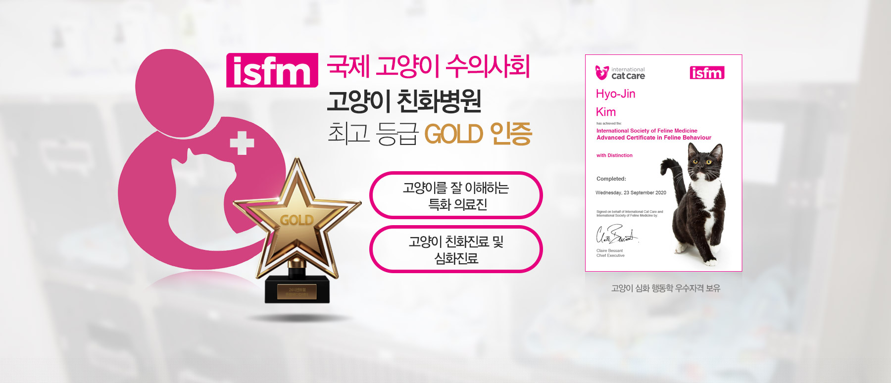 국제 고양이 수의사회 고양이 친화병원 최고 등급 GOLD 인증받은 24시센트럴동물메디컬센터